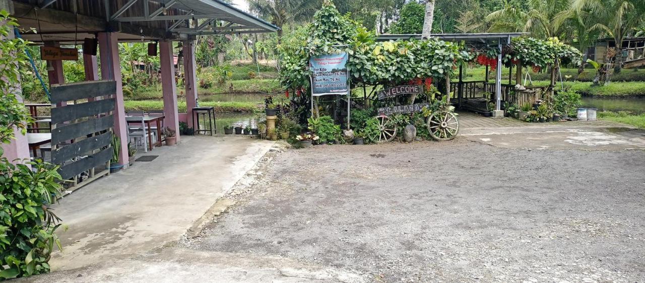 Talaga Tomohon Home Stay And Fishing Pond Buitenkant foto