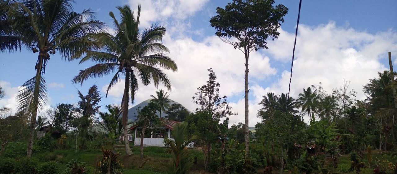 Talaga Tomohon Home Stay And Fishing Pond Buitenkant foto