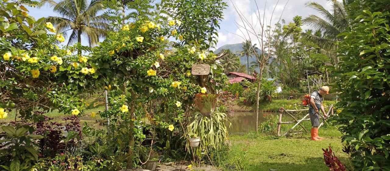 Talaga Tomohon Home Stay And Fishing Pond Buitenkant foto