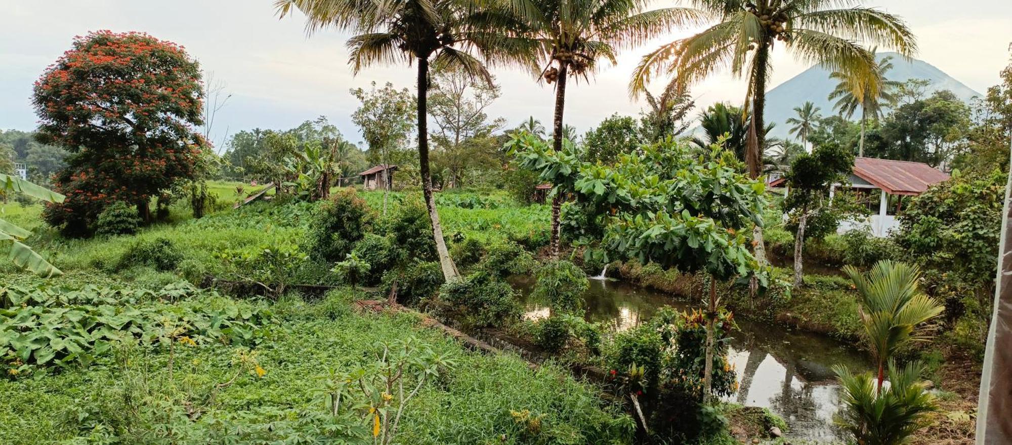 Talaga Tomohon Home Stay And Fishing Pond Buitenkant foto