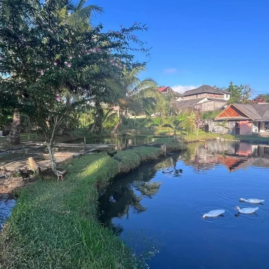 Talaga Tomohon Home Stay And Fishing Pond Buitenkant foto