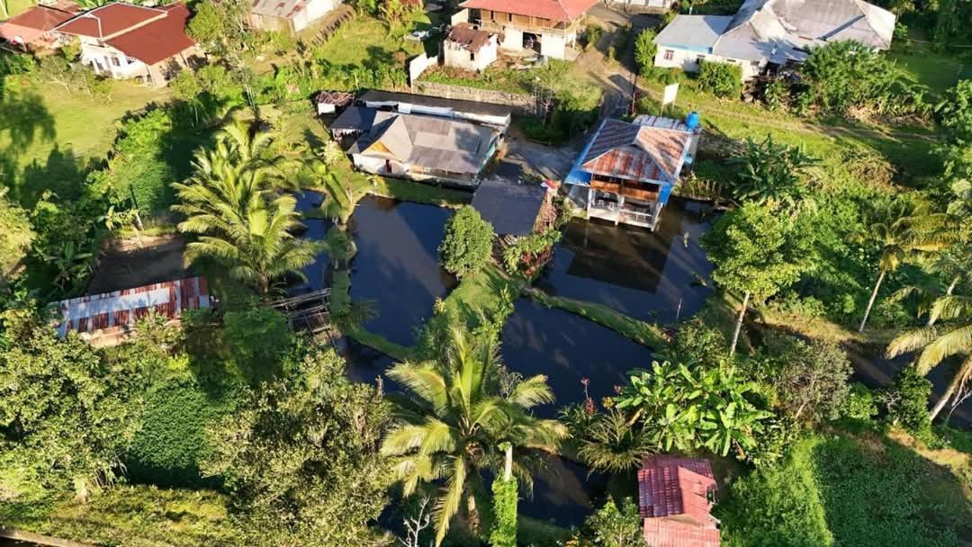 Talaga Tomohon Home Stay And Fishing Pond Buitenkant foto