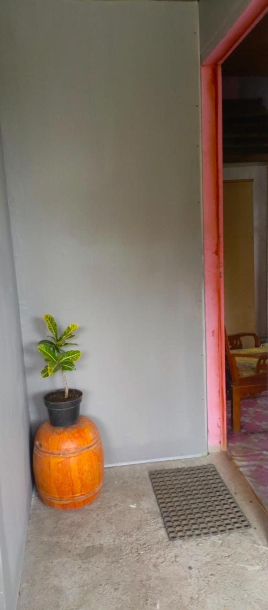 Talaga Tomohon Home Stay And Fishing Pond Buitenkant foto